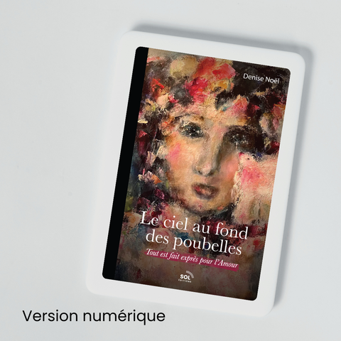 Livre numérique - Le ciel au fond des poubelles - Denise Noël